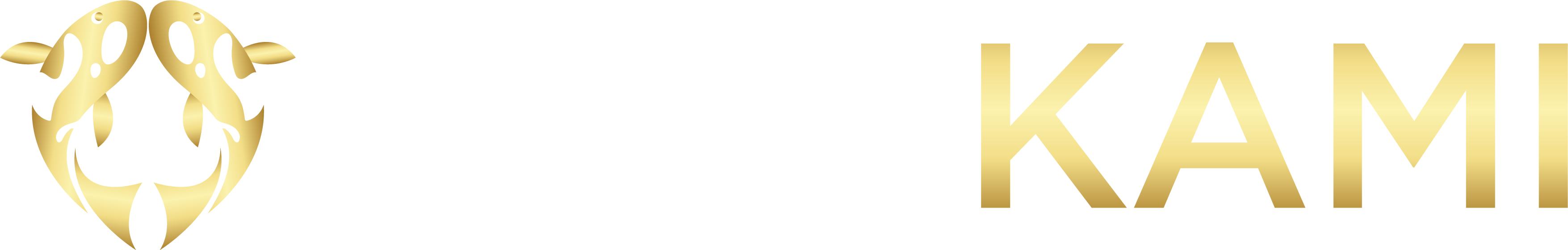 Cari PLAYKAMI